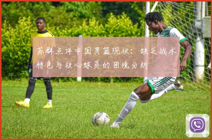 苏群点评中国男篮现状：缺乏战术特色与核心球员的困境分析